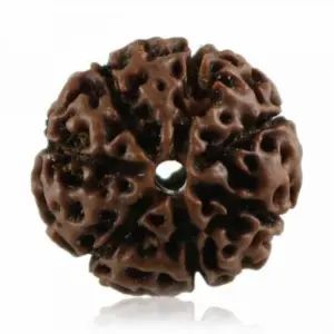 9 mukhi